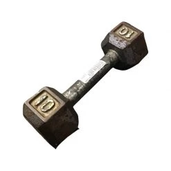 The Surprise Price - *Other Brand Used 10 Lb Dumbbells Exercise And Fitness