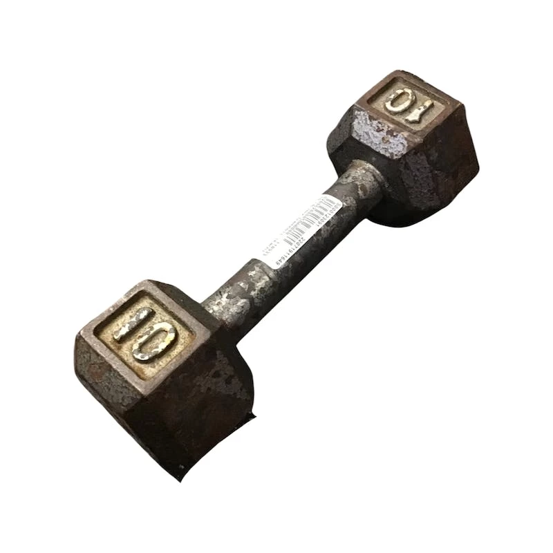 The Surprise Price - *Other Brand Used 10 Lb Dumbbells Exercise And Fitness