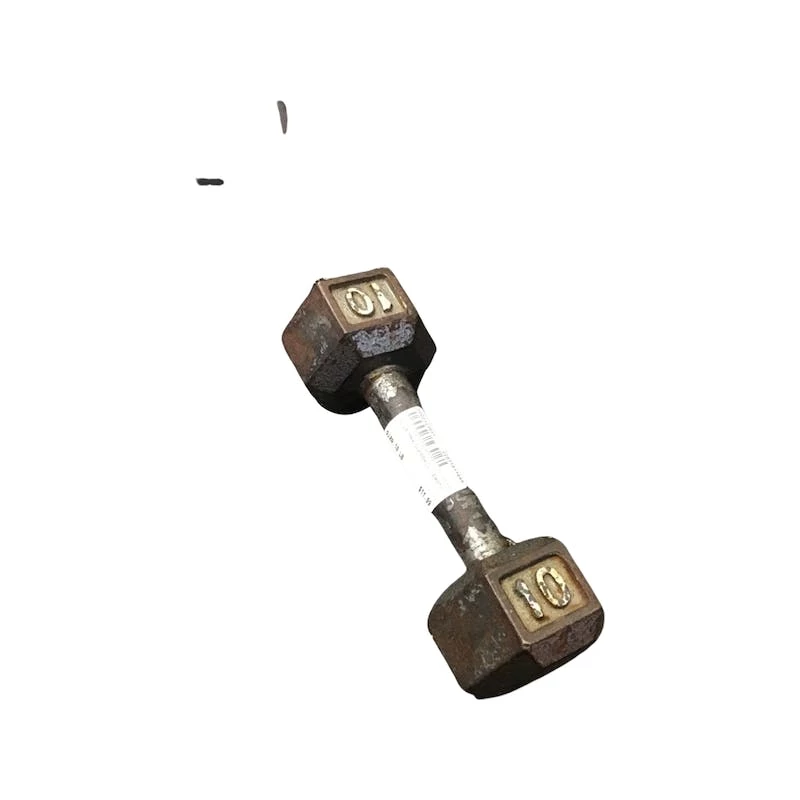 The Surprise Price - *Other Brand Used 10 Lb Dumbbells Exercise And Fitness - Image 2