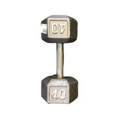 The Surprise Price - *Other Brand Used 40 Lb Dumbbells Exercise And Fitness