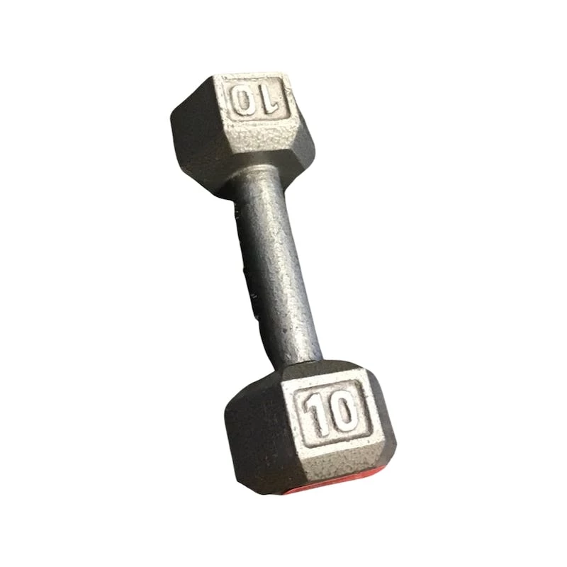 On Sale - *Other Brand Used 10 Lb Dumbbells Exercise And Fitness