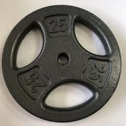 The Surprise Price - Used Fitness Gear 25 Lb Standard Plate Exercise & Fitness