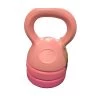 The Surprise Price - *Other Brand Used 12 Lb Kettlebells Exercise & Fitness Pink
