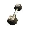 Free Shipping - Used *Other Brand 10 Lb Dumbbells