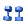 Shipping Included - Used *Other Brand 8 Lb Dumbbells