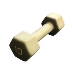 Shipping Included - *Other Brand Used 10 Lb Dumbbells