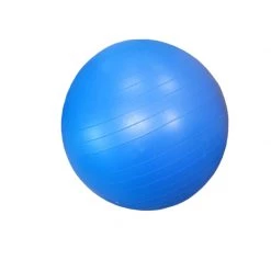 Best Price - Used Tone Fitness 35 Cm Exercise & Fitness / Core Training ROYAL BLUE
