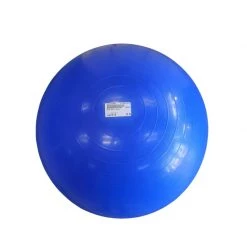 The Surprise Price - Used *Other Brand 55 Cm Exercise & Fitness / Core Training ROYAL BLUE