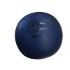 Discount - Used Golds Gym 8 Lb Core Training Exercise And Fitness Royal Blue