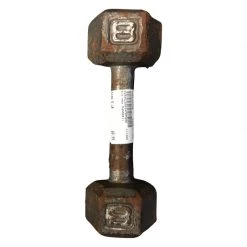The Surprise Price - *Other Brand Used 8 Lb Dumbbells